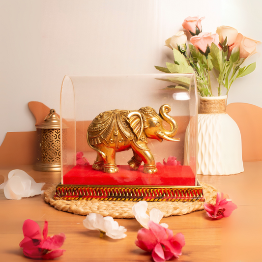 TrunkUp Elephant Brass Murti With Gift Box