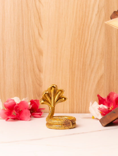 Shesh Naag Brass Murti